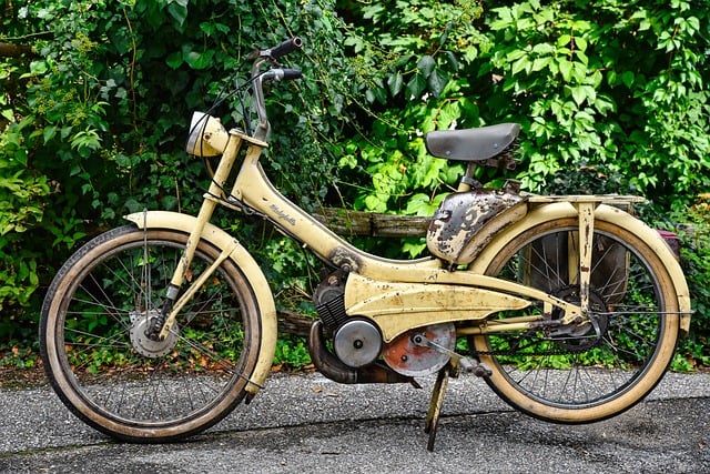 양자컴퓨팅 입문 🚀 양자 비트 & 알고리즘 완전정복!