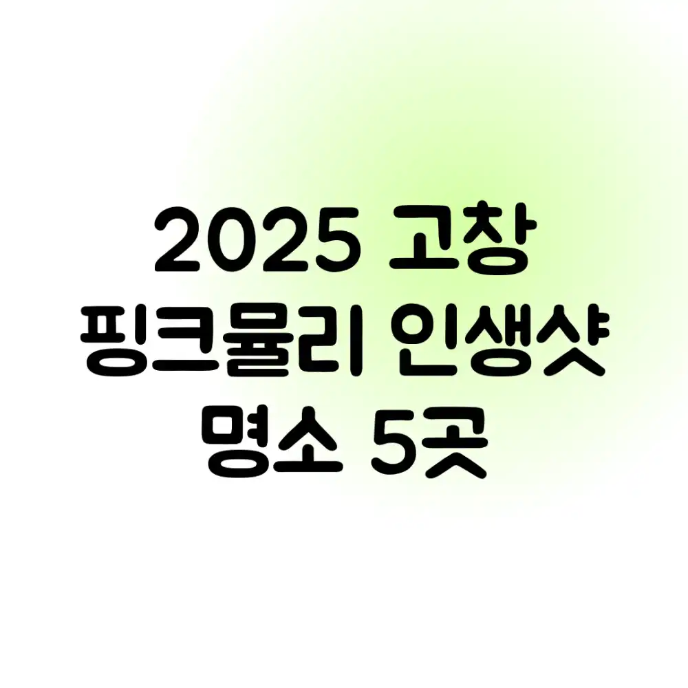 2025 고창 핑크뮬리: 인생샷 명소 5곳