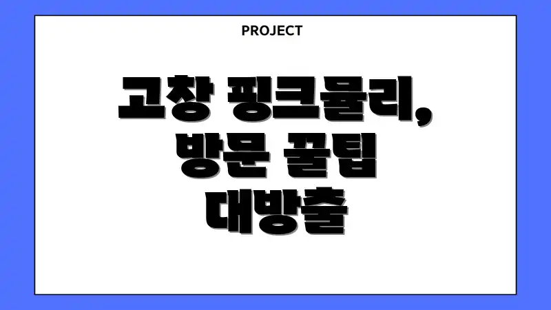 고창 핑크뮬리, 방문 꿀팁 대방출