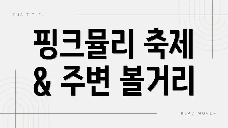 핑크뮬리 축제 & 주변 볼거리